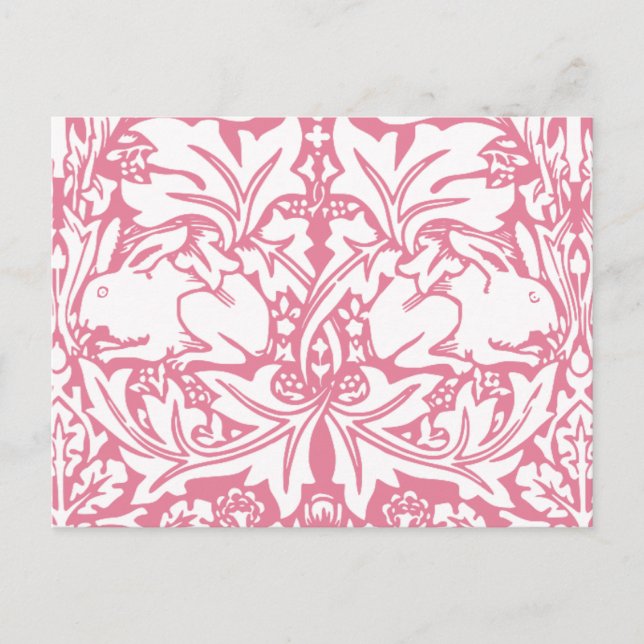 Postal Conejos de cosecha (Anverso)