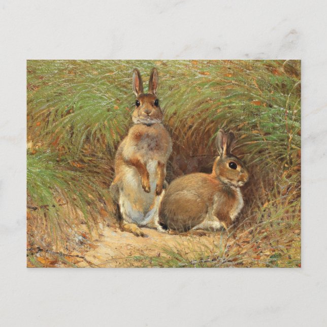 Postal Conejos de Victor Stoetzner-Lund (Anverso)