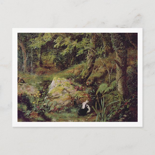 Postal Conejos perdidos (Anverso)