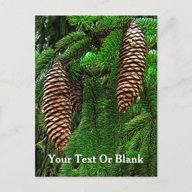 Postal Cones Y Agujas (Anverso)