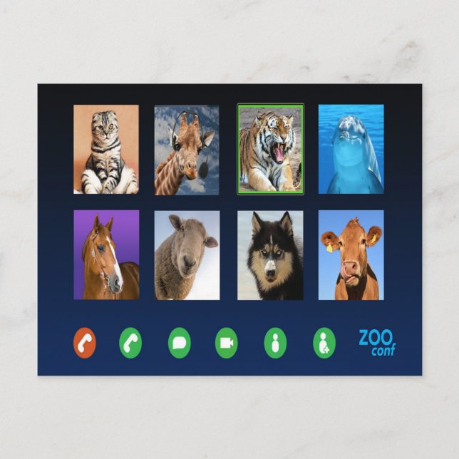 Postal Conferencia de Video Animal (Anverso)