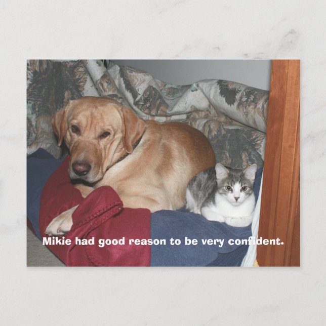 Postal Confianza (Anverso)