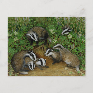 Postal Configuración