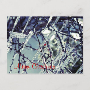 Postal congelada del navidad de la baya