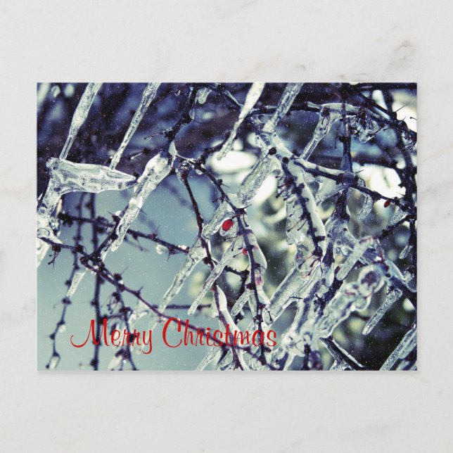 Postal congelada del navidad de la baya (Anverso)
