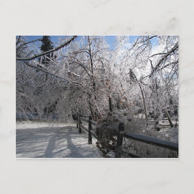 Postal Congelado (Anverso)