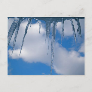 Postal Congelado