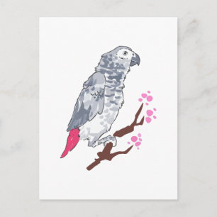 POSTAL CONGO AFRICAN GRAY PARROT