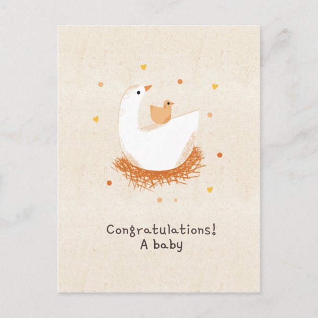 Postal Congratulations a baby chick (Anverso)