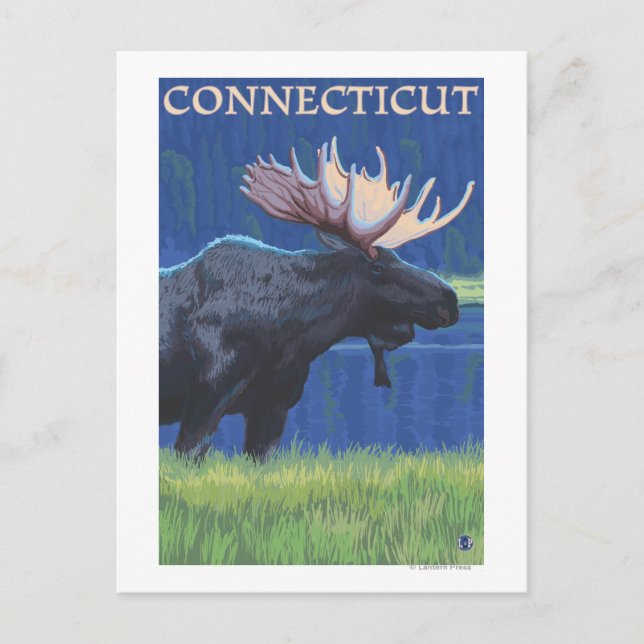 Postal ConnecticutMoose a la luz de la luna (Anverso)