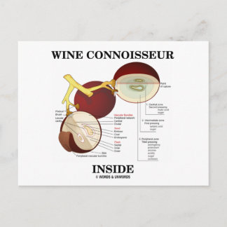 Postal Connoisseur De Vino Interior (Berry De Uva De Vino