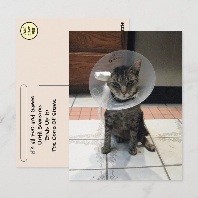 Postal Cono de la Vergüenza de la travesía - El gato se p (Anverso / Reverso)