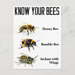 Postal Conoce tus abejas
