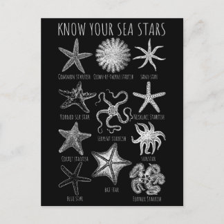 Postal Conoce tus estrellas del mar - Grupos Starfish