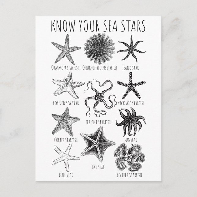 Postal Conoce tus estrellas del mar - Grupos Starfish (Anverso)
