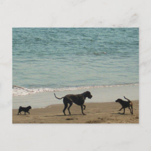 Postal Conoce y saluda