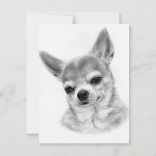 Postal Conociendo los ojos - Retrato de Chihuahua pintado