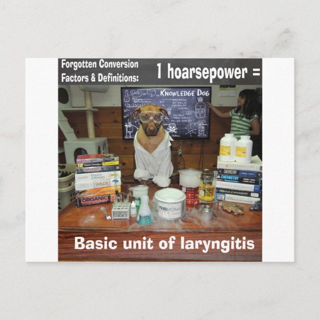 Postal Conocimiento Perro Conversiones Olvidadas Hoarsepo (Anverso)