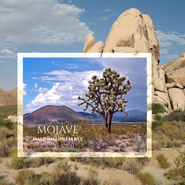 Postal Conos de escoria, Joshua Tree, Reserva Nacional Mo (Subido por el creador)
