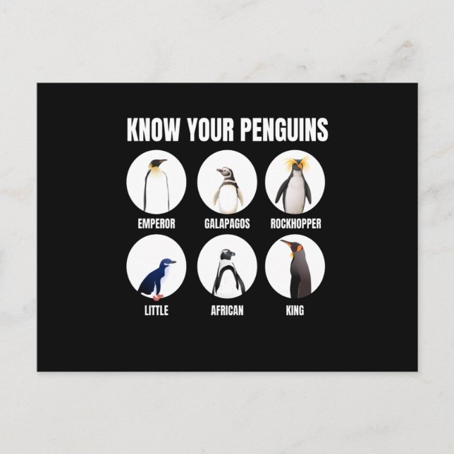 Postal Conozca su pájaro de nieve pingüino (Anverso)