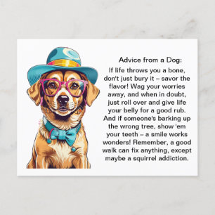 Postal Consejos divertidos de un perro
