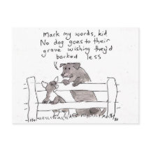 Consejos para una cachorra