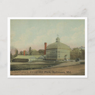 Postal Conservatorio Baltimore MD Druid Hill Park 1910