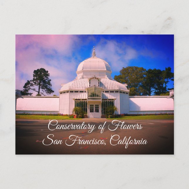 Postal Conservatorio de Flores SF #7-1 Postcard (Anverso)