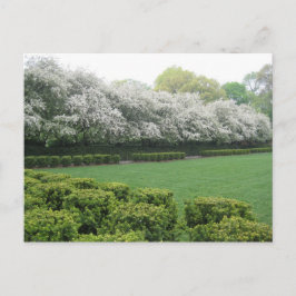 Postal Conservatorio Jardín Central Park New York City NY