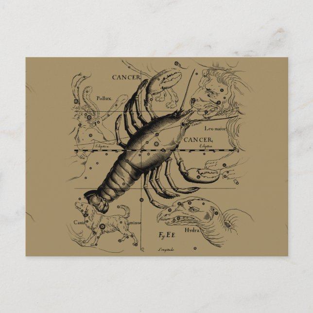 Postal Constelación del cáncer Hevelius 1690 (Anverso)
