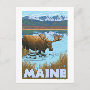 Postal Consumo de MaineMoose en el lago
