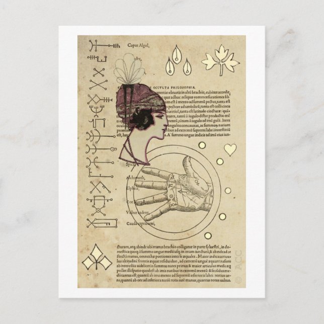 Postal Contador de fortuna gitano (Anverso)