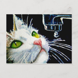 Postal Contemplación