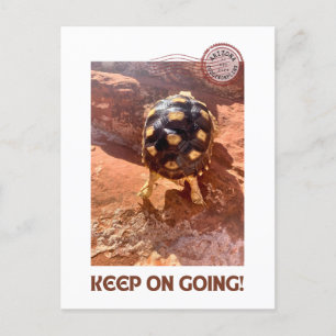 Postal Continúa el ajetreo del Baby Sulcata en Sedona