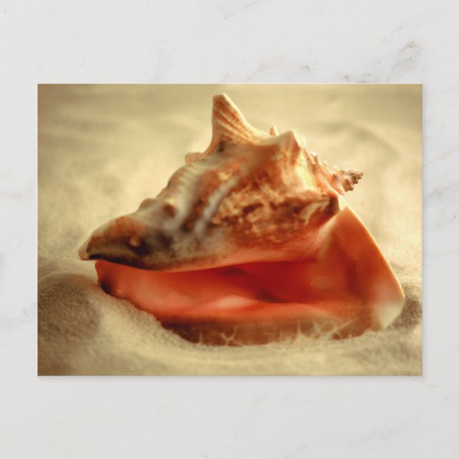 Postal Contorno (Anverso)