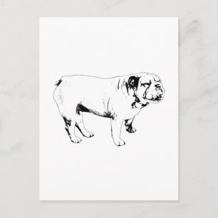 Postal contorno hola, bulldog