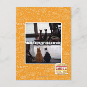 Postal Contra viento y marea