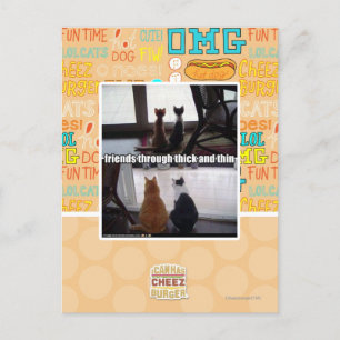 Postal Contra viento y marea