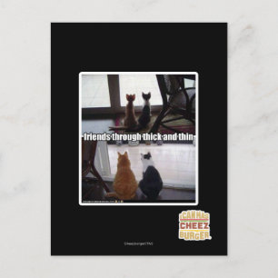 Postal Contra viento y marea