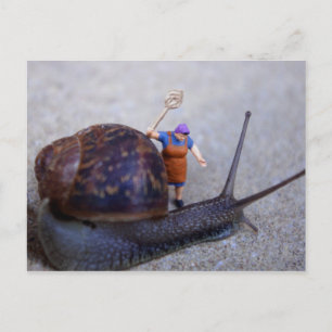 Postal Control de plagas