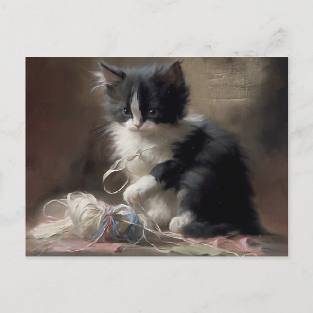 Postal Contundente negro y blanco gatito (Anverso)
