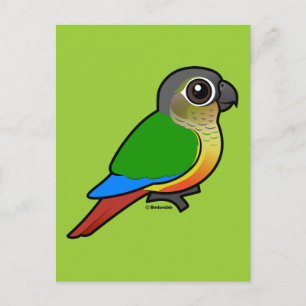 Postal Conure Birdorable