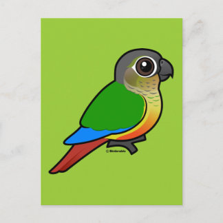 Postal Conure Birdorable