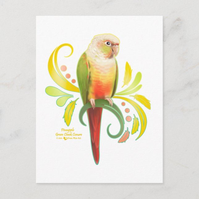 Postal Conure de la mejilla verde de piña (Anverso)