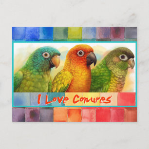 Postal Conures de color verde azulado