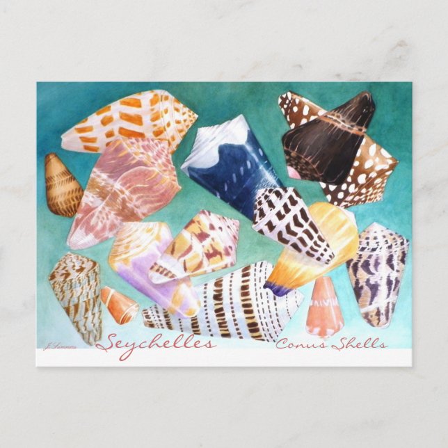 Postal Conus Shells de Seychelles (Anverso)