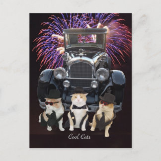 Postal Cool Cats