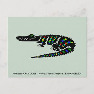Postal Cool  Cocodrilo Americano - Vida Silvestre - Natur