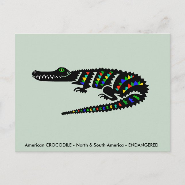 Postal Cool  Cocodrilo Americano - Vida Silvestre - Natur (Anverso)