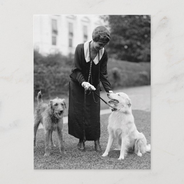 Postal Coolidge & The Gang: 1924 (Anverso)